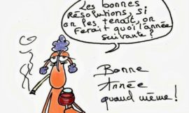 Marre des vœux de bonne année ?!